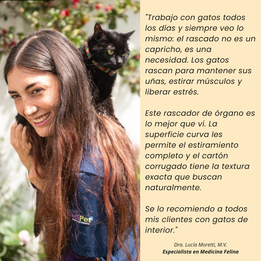 Rascador interactivo (con bolita de regalo)