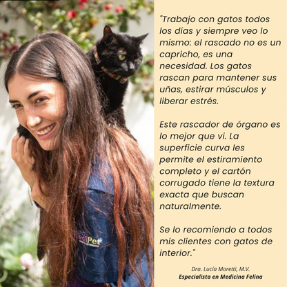 Rascador interactivo (con bolita de regalo)