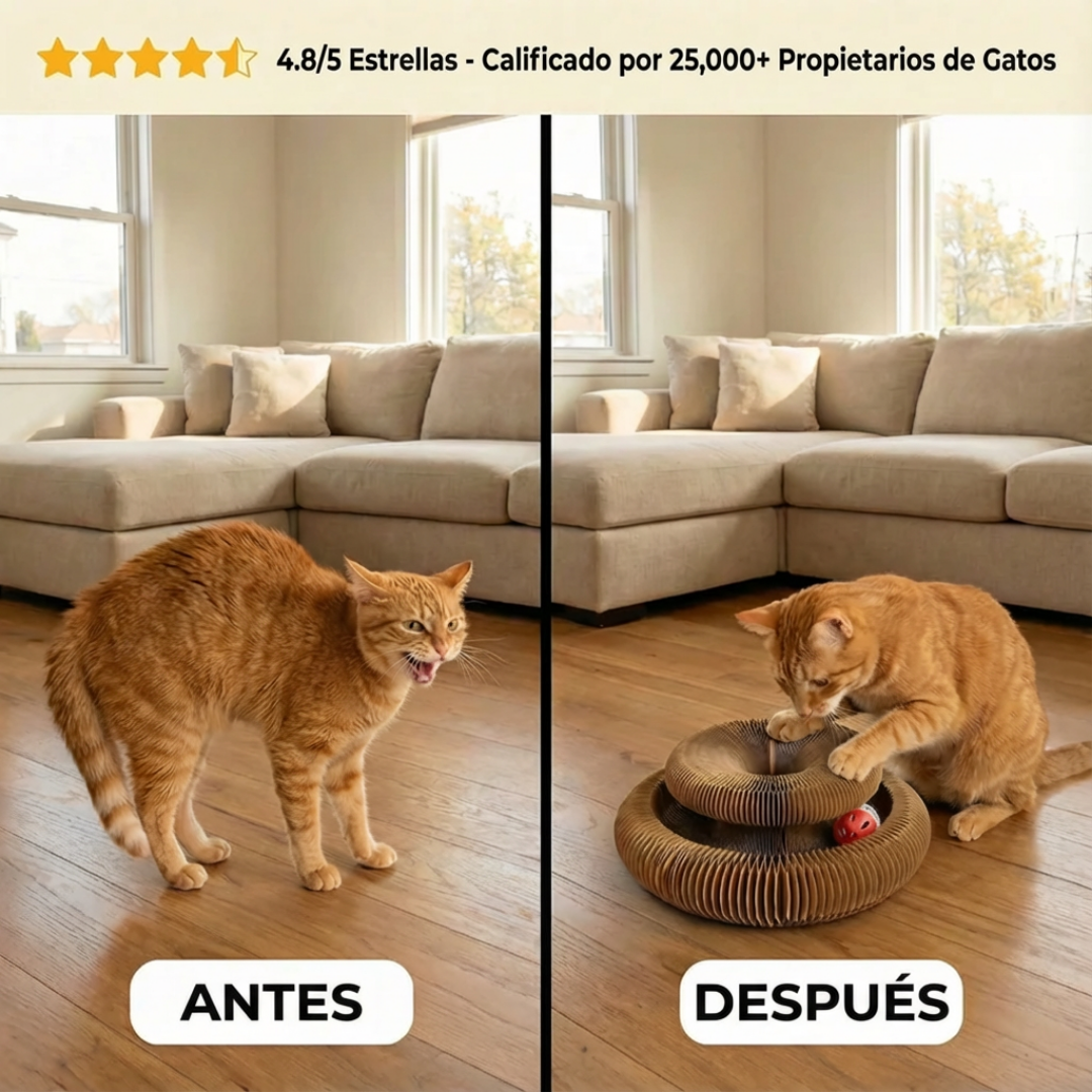 Rascador interactivo (con bolita de regalo)