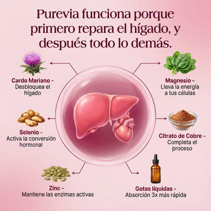 Purevia | El suplemento para tiroides que trabaja desde el hígado