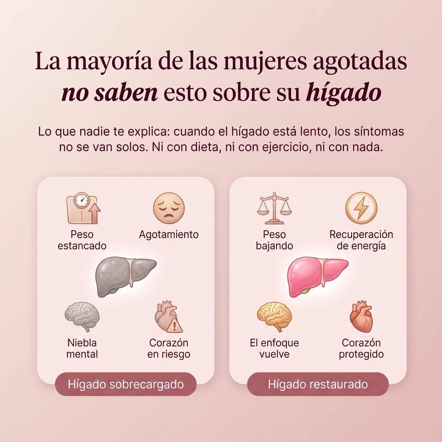 Purevia | El suplemento para tiroides que trabaja desde el hígado