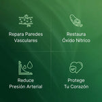 AMLA - Bajá tu presión arterial de forma natural, reparando tus vasos sanguíneos desde adentro