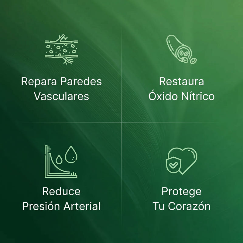AMLA - Bajá tu presión arterial de forma natural, reparando tus vasos sanguíneos desde adentro