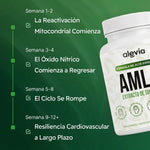 AMLA - Bajá tu presión arterial de forma natural, reparando tus vasos sanguíneos desde adentro